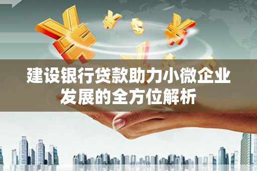 新市建设银行贷款助力小微企业发展的全方位解析
