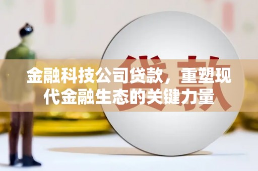 刚察金融科技公司贷款，重塑现代金融生态的关键力量