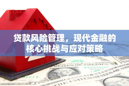 郾城贷款风险管理，现代金融的核心挑战与应对策略