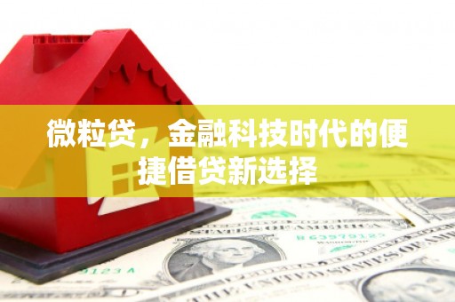 仙居微粒贷，金融科技时代的便捷借贷新选择
