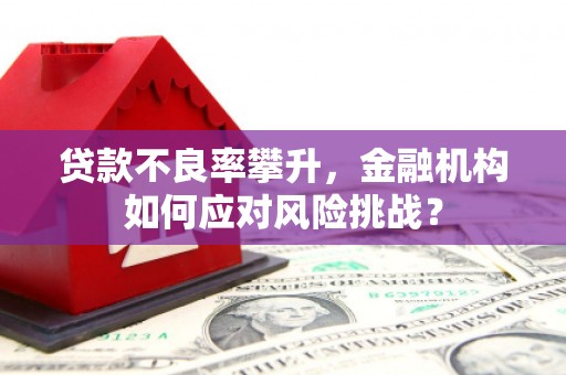 陵水贷款不良率攀升，金融机构如何应对风险挑战？