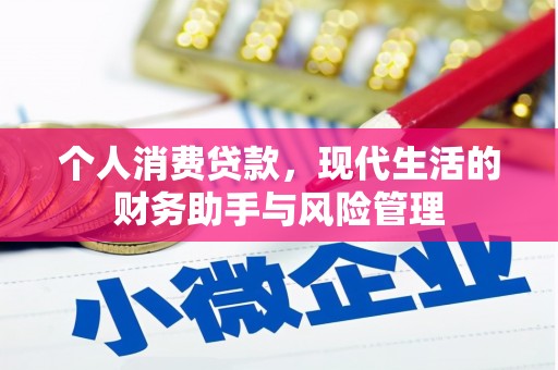 苍溪个人消费贷款，现代生活的财务助手与风险管理