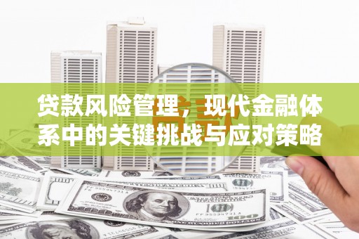 新青贷款风险管理，现代金融体系中的关键挑战与应对策略