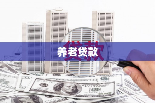 南州养老贷款