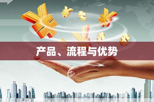 罗定产品、流程与优势