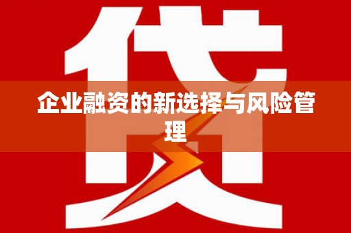 永新企业融资的新选择与风险管理