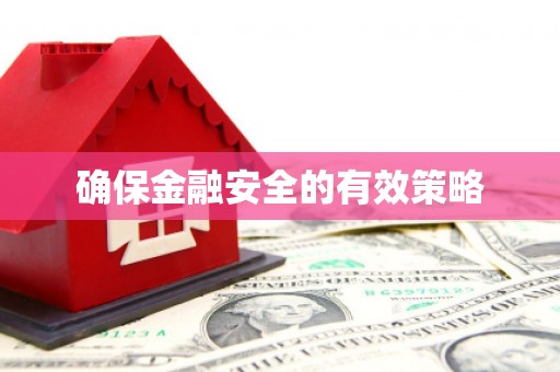 大内确保金融安全的有效策略