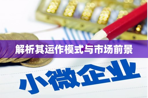 定兴解析其运作模式与市场前景