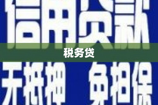 阜平税务贷