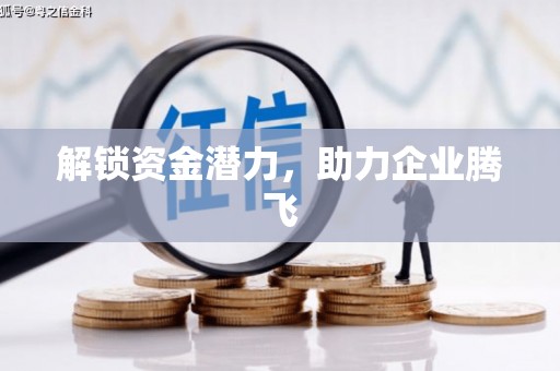 聂荣解锁资金潜力，助力企业腾飞