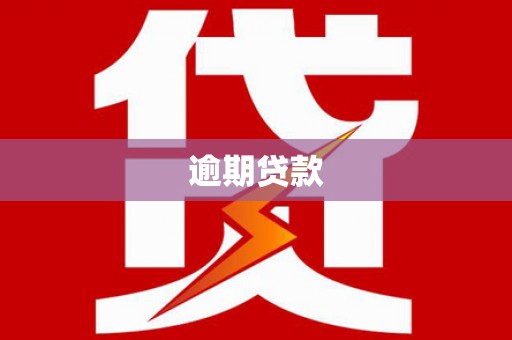 柳林逾期贷款